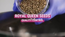 RQS Quality Control