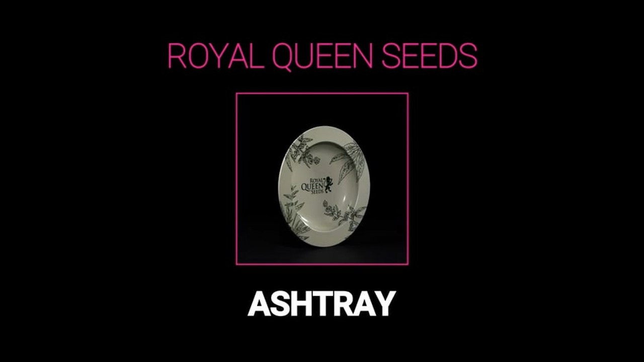RQS Ashtray