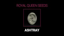 RQS Ashtray