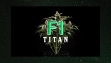 Titan F1 Hybrid Cannabis Seeds Review