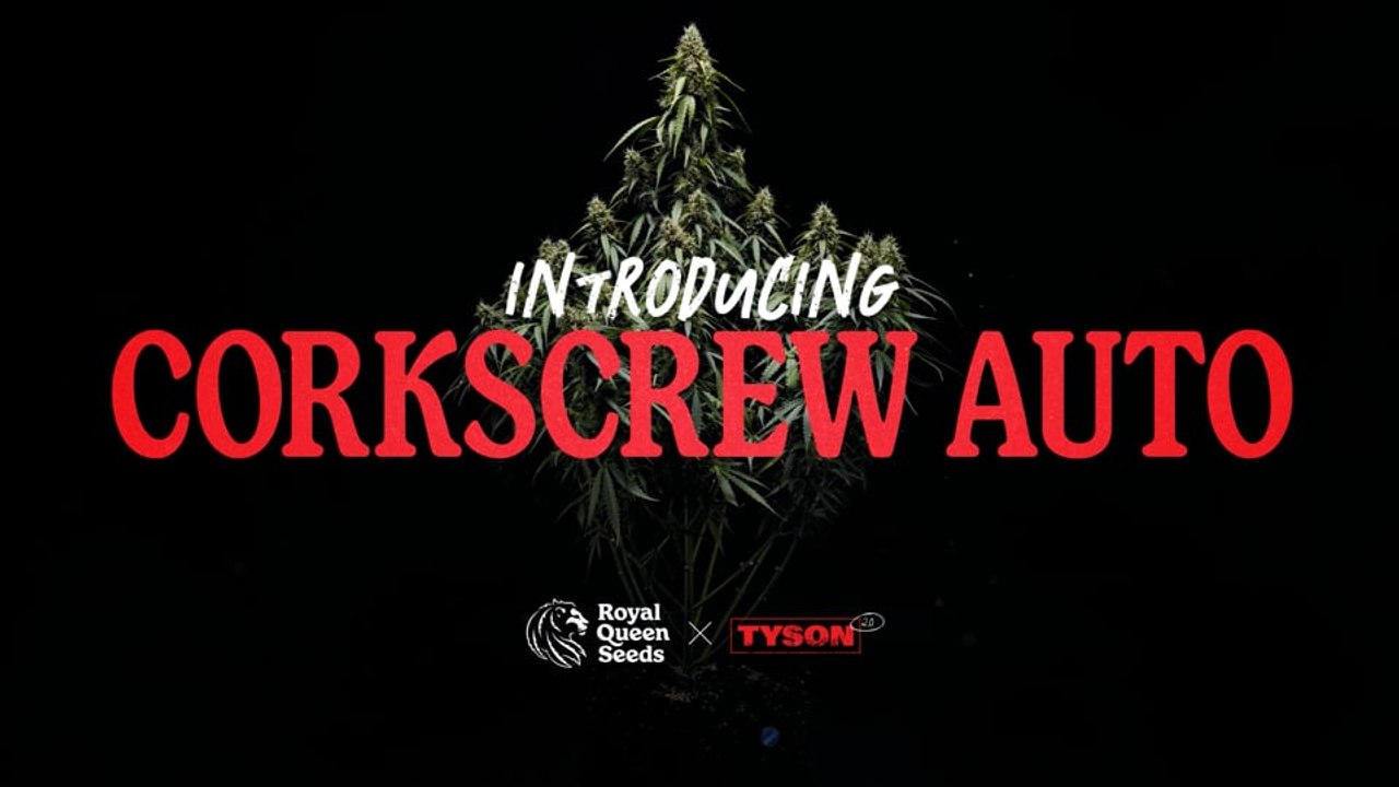 Corkscrew Auto Strain Review