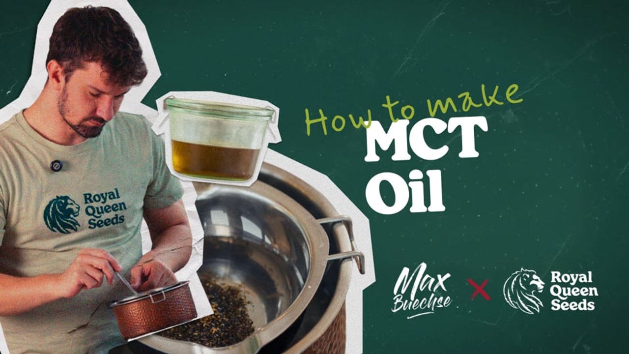 How to make Cannabis MCT Oil [Cooking Guide Ep. 2]