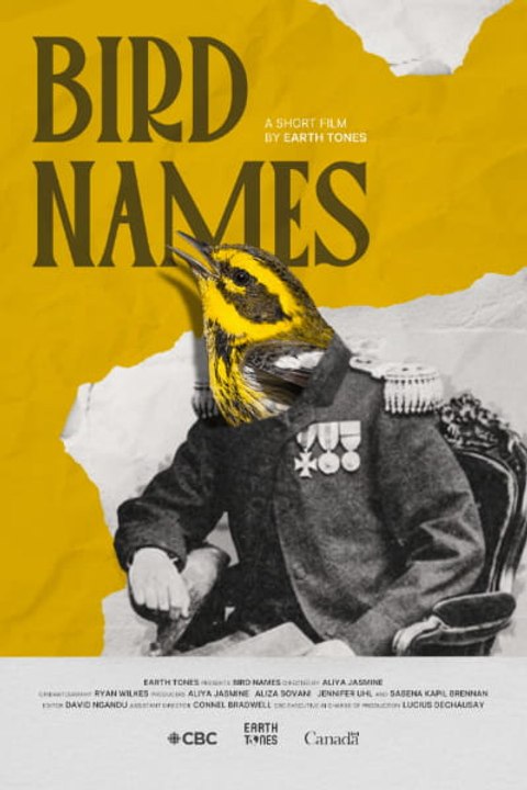 Bird Names English Version|New Movies Release 2026