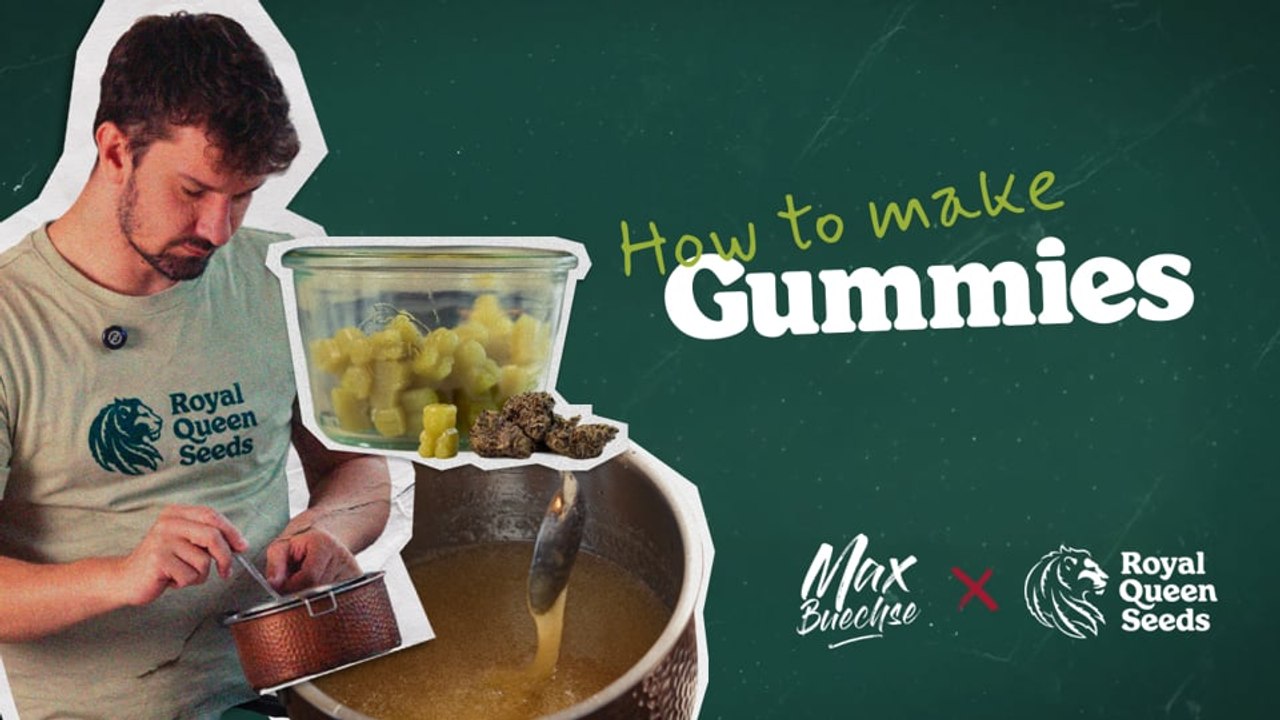 How to make Cannabis Gummies with MCT Oil [Cooking Guide Ep. 5]
