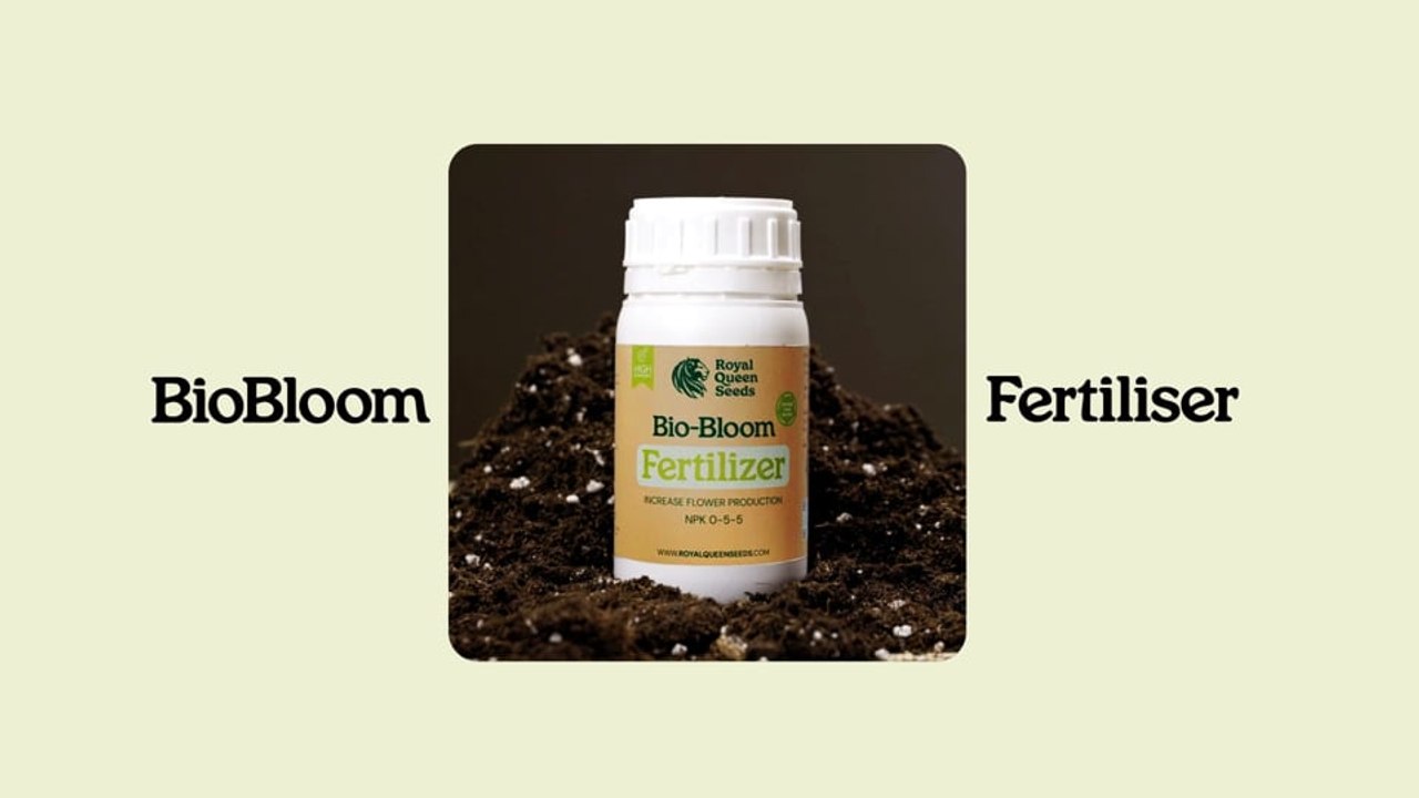 Bio-Bloom Fertilizer | Feed Your Flowers Naturally with Royal Queen Seeds
