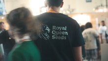 Royal Queen Seeds | Who We Are