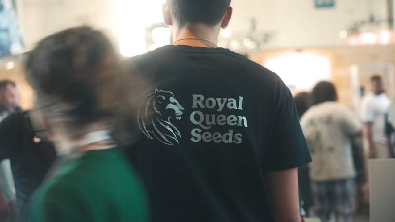 Royal Queen Seeds | Who We Are