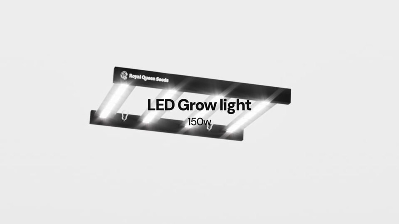 LED Grow Light 150 W – RQS Grow Tent Kits