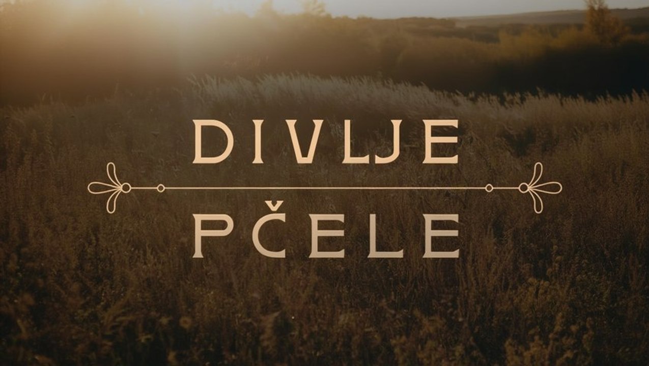 Divlje pčele Epizoda 151