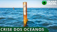 ONU alerta para aumento global dos oceanos e cita risco para o Brasil