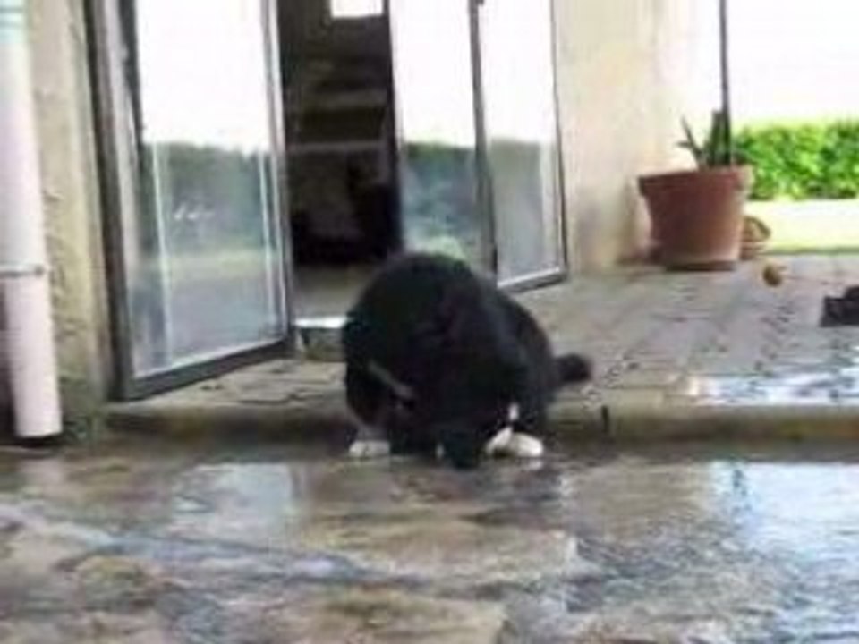 Dana et l' eau
