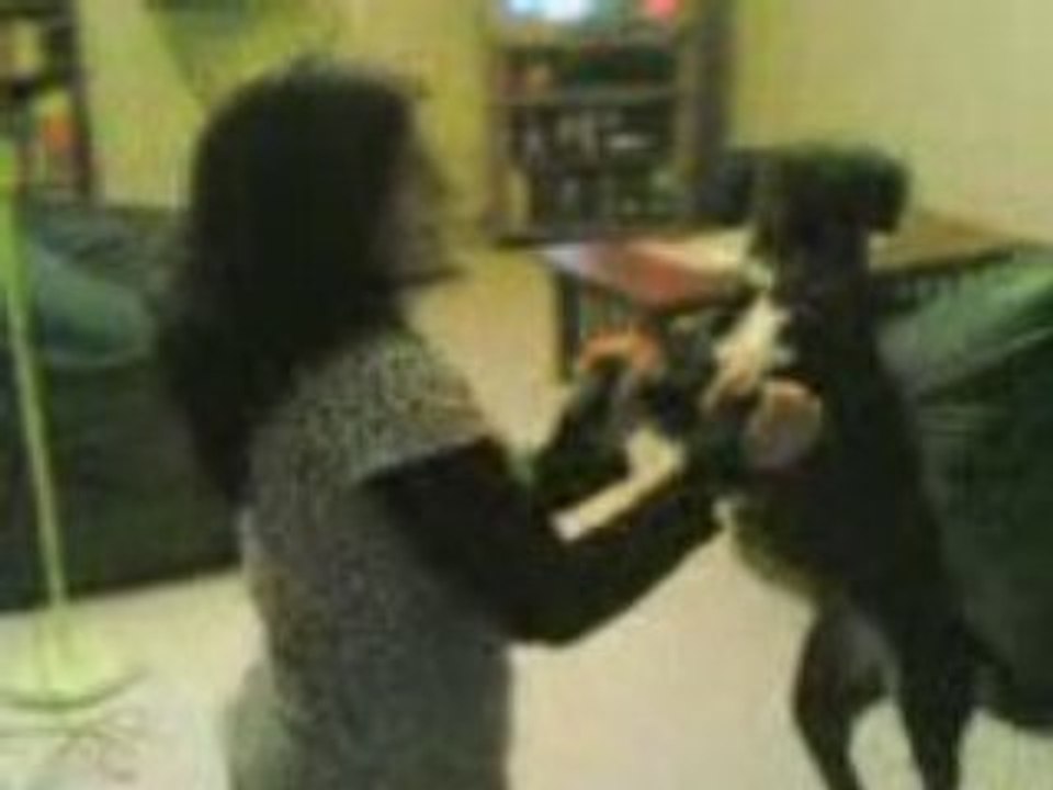 salsa et tck avec la chienne