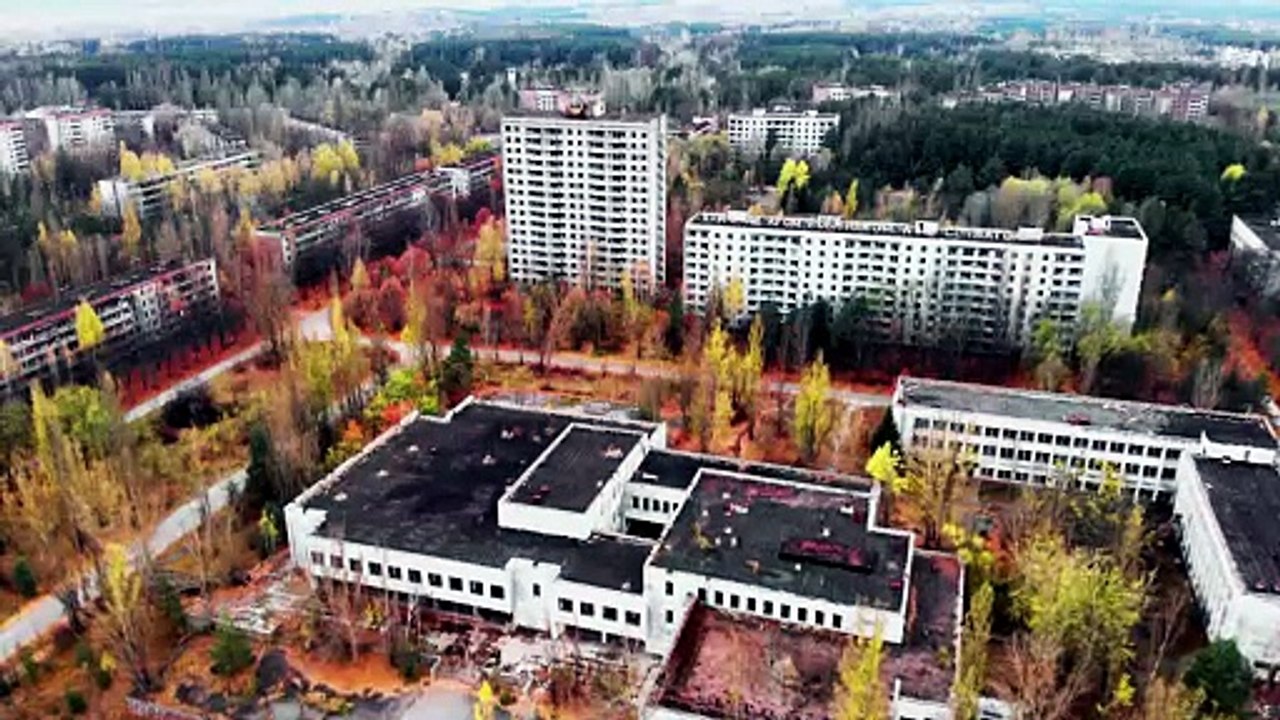 Chernobyls Radiation Surprise: A Wildlife Boom in a Thriving Wasteland