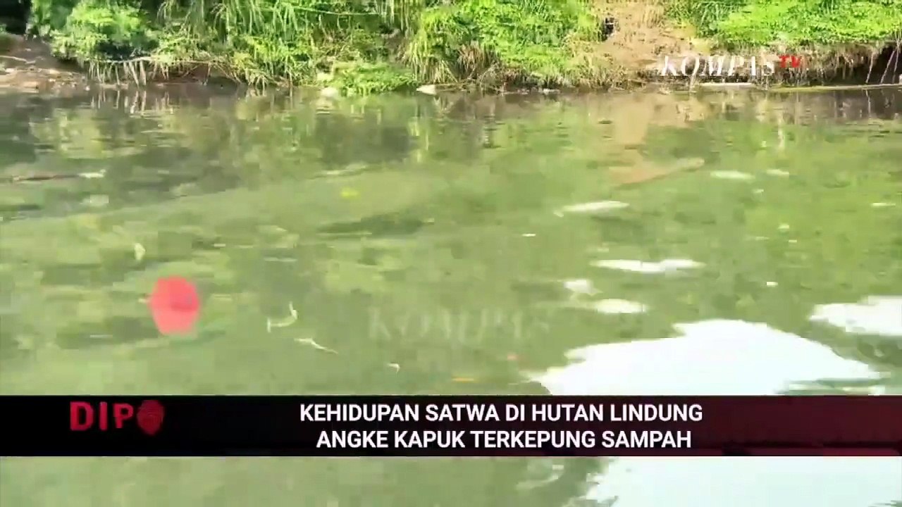 Pulau Sampah Kepung Warga, Menteri Lingkungan Hidup Janjikan Solusi dalam 2-3 Tahun | DIPO