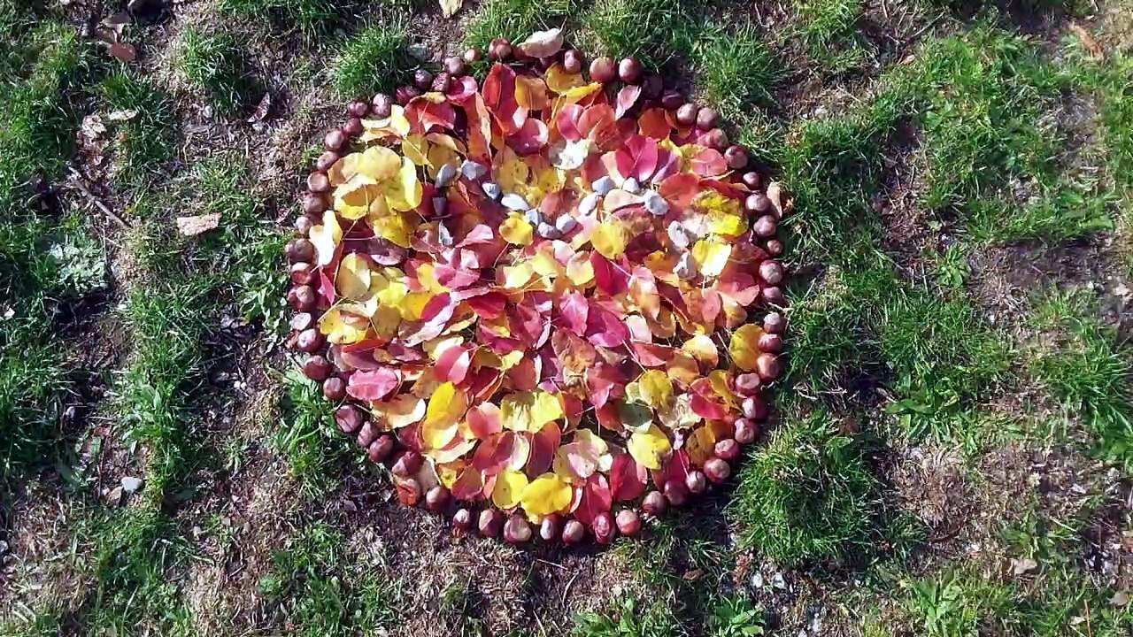 AUTOMNE-cm1-cm2-sacré-coeur