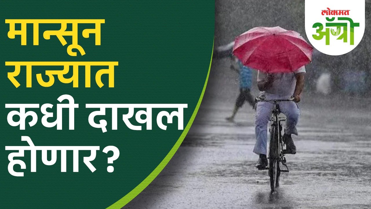 मान्सून राज्यात कधी दाखल होणार? Maharashtra Monsoon Update