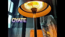 Popular 220v 1500w Freedstanding Patio Heaters Electric Infrared Heaters with Halogen Bulbs