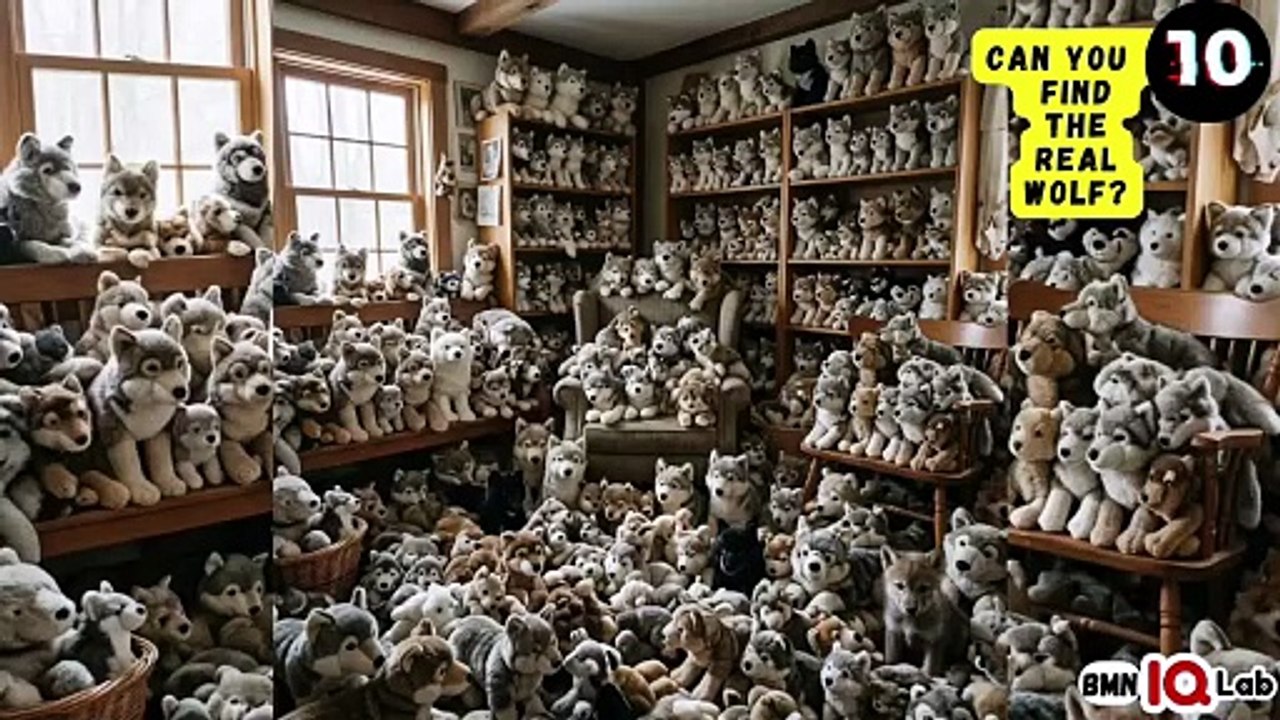 #YourEyesVsTheWolfs 👀⚔️🐺 Can You Find the Real Wolf? 🐺