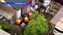 Медведя поймали после прогулки по японскому городу