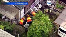 Συλλαμβάνεται αρκούδα που περιπλανήθηκε σε πόλη της Ιαπωνίας