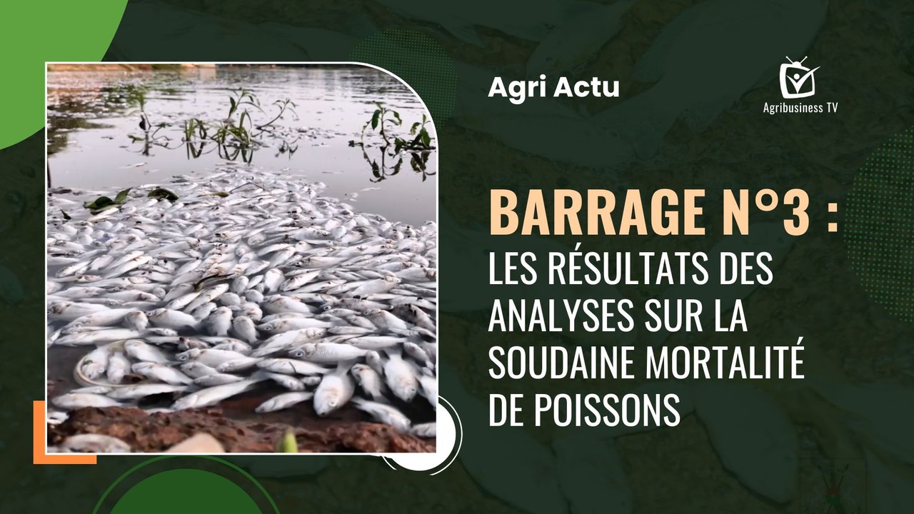 Agri Actu : Barrage n°3 : Les résultats des analyses sur la soudaine mortalité de poissons
