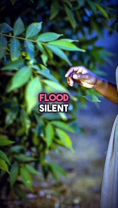 A Lake Silently Killed 1,700 People Overnight — No Warning At All