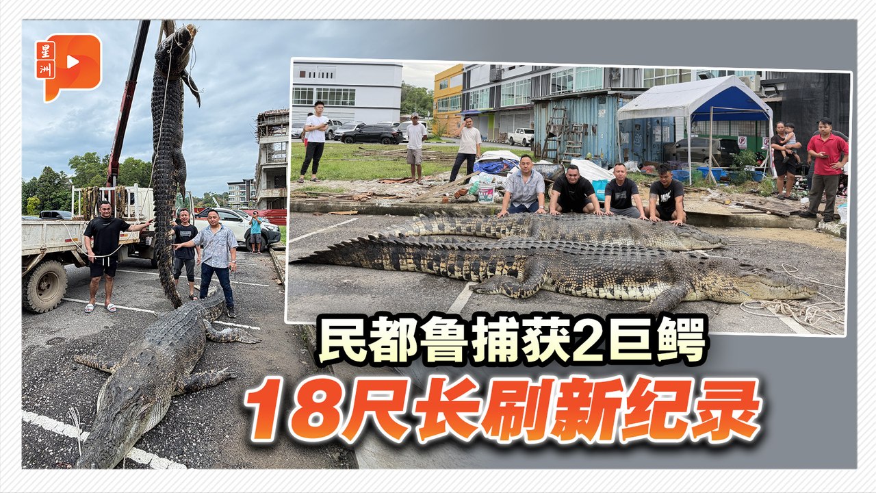 拖着22尺船移动 捕鳄队员大战巨鳄