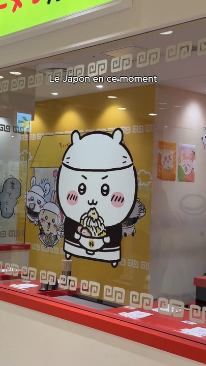 La nouvelle mascotte du Japon !! (il est partout) 😱 #chiikawa #hachiware #parcchiikawa #japon #voyagejapon
