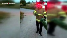 Yerleşim alanlarında görülen yılanlar itfaiyeyi harekete geçirdi