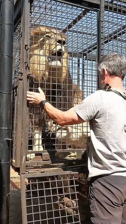 How to Unload LIONS