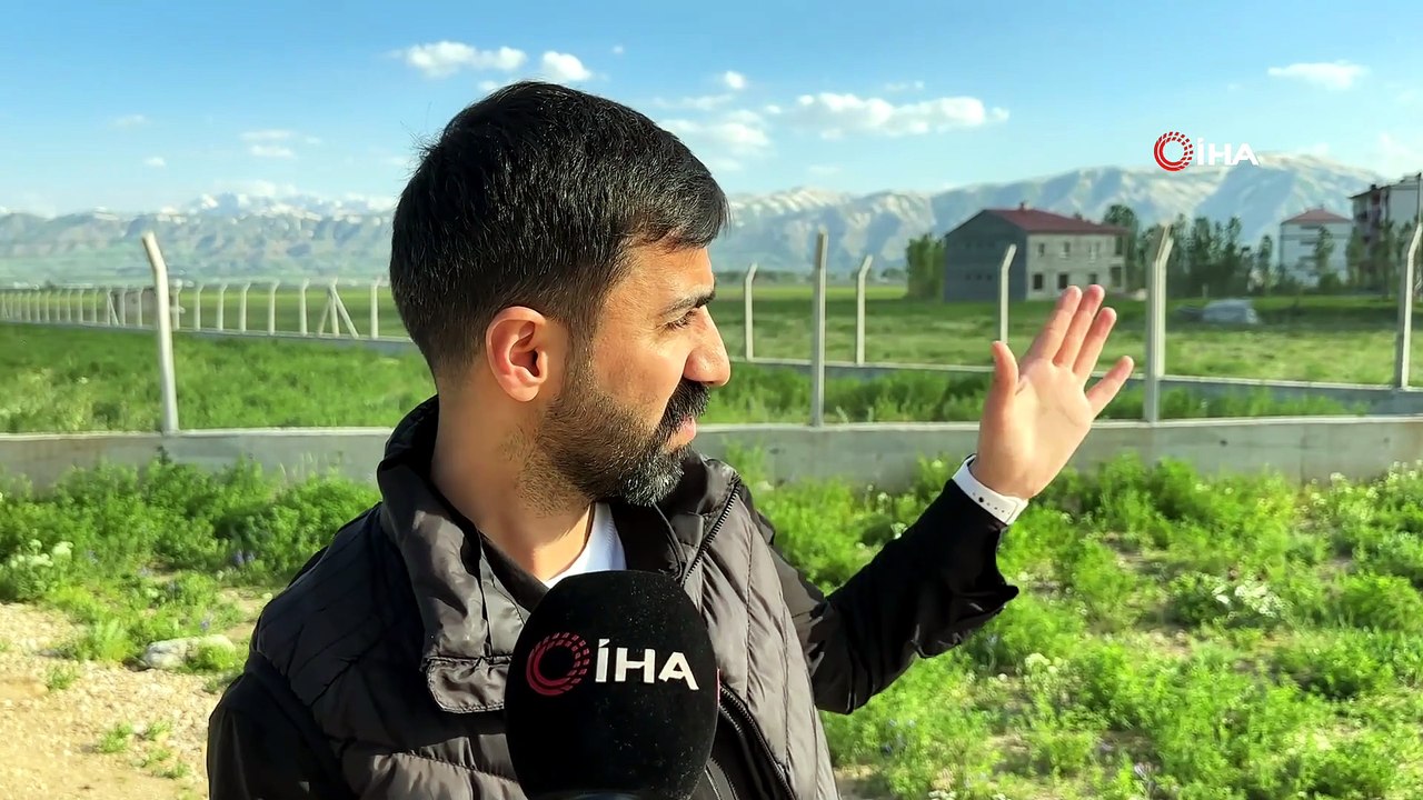 Gören bir daha baktı! Yüksekova'da dağlar zebra deseniyle kaplandı