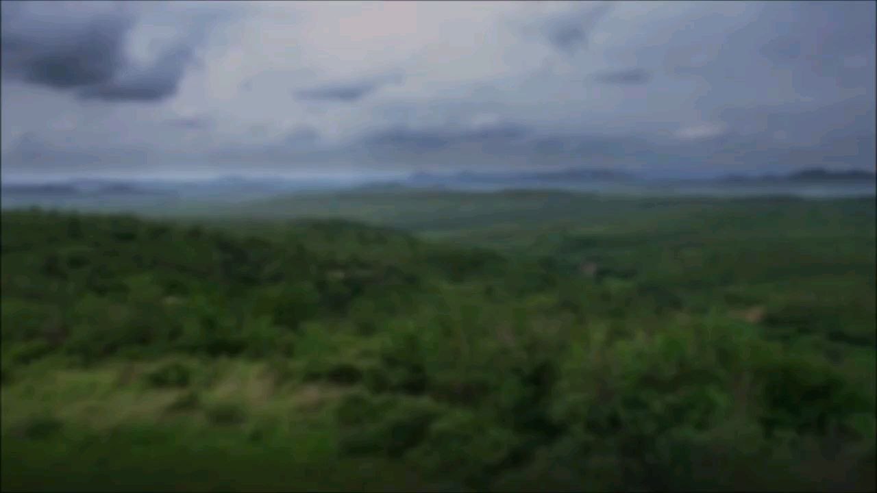 Paleo-discoveries 2001