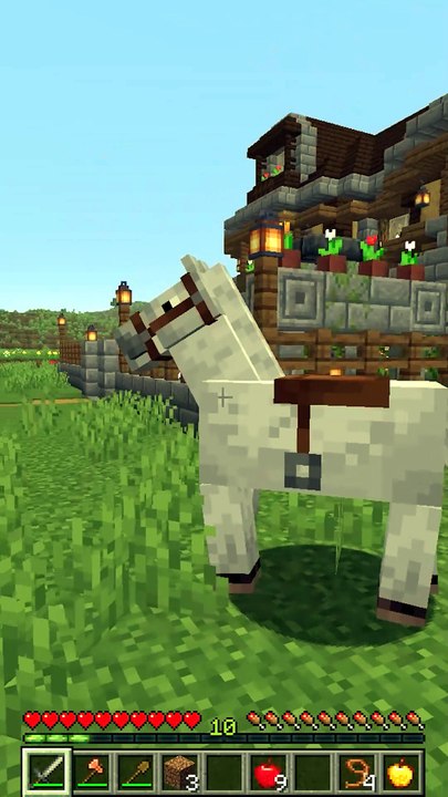 Es-tu un BOOMER sur Minecraft ?