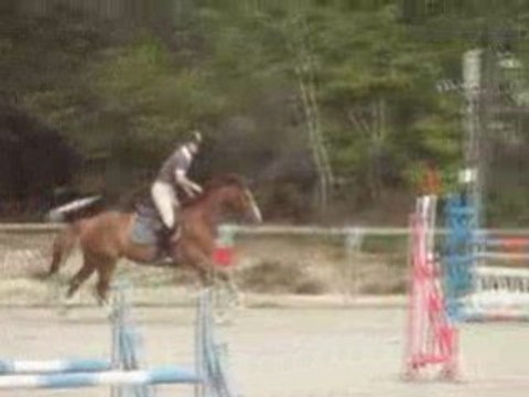 Perelan Ar Park - CSO 5ans A - Saumur 2008-05-08