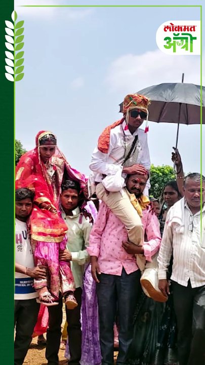 नवरीला खांद्यावर घेऊन नवरदेवाची डोंगरातून पायपीट Short