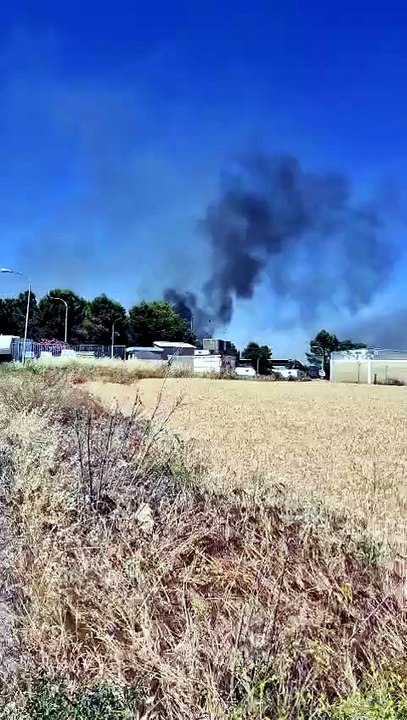Incendio en Cabeza de Palo, en la capital