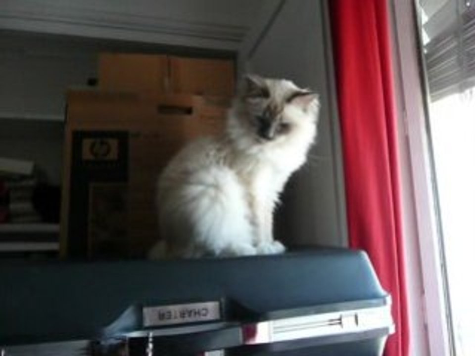 vivement le déménagement