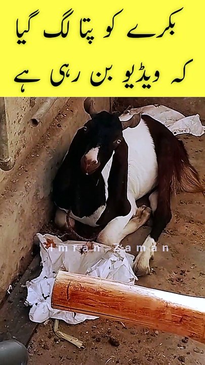 Bakary ko pata lag gaya Video ka😊