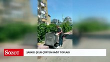 Şarkıcı Çelik çöpten kağıt topladı!