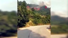 Bursa’da makilik alanda yangın