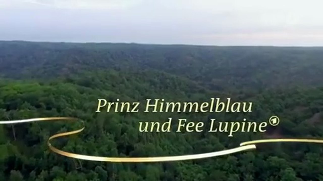 Prinz Himmelblau und Fee Lupine Film deutsch