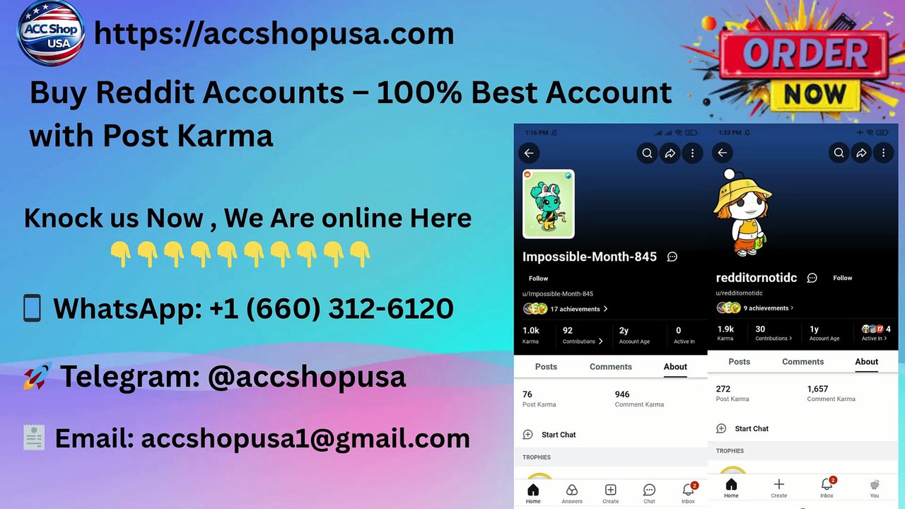 How to Buy Aged Reddit Accounts With HIGH Karma For USA
