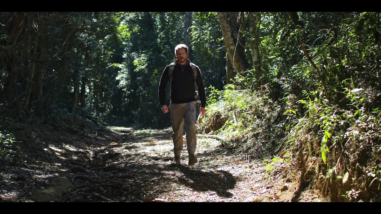 A Caminhada (2025)