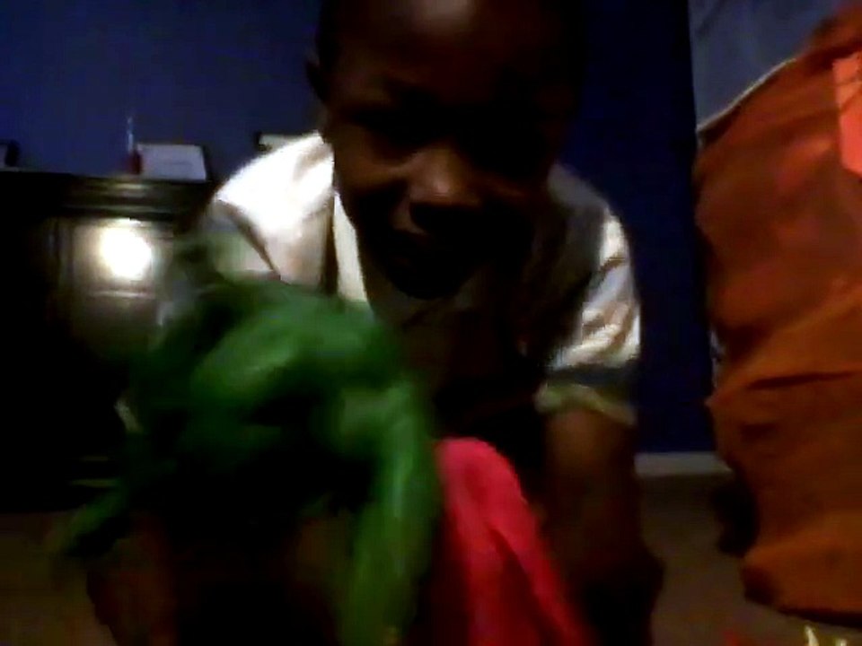 ACTION FIGURE PLAYIN (2013)