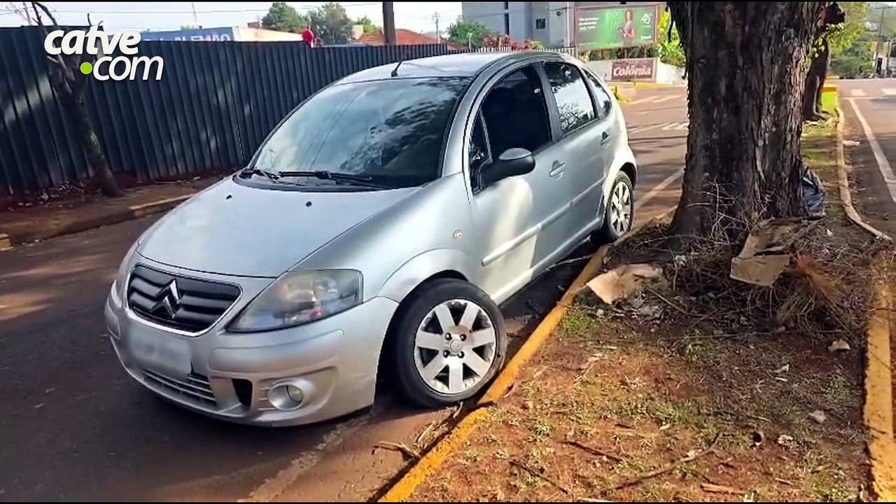 Motorista se assusta com inseto dentro do carro, bate em árvore e veículo tomba em Toledo