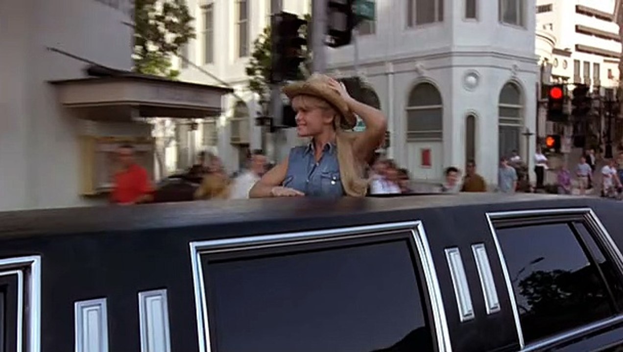 The Beverly Hillbillies (1993)