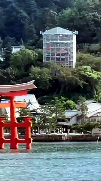 Mon voyage au Japon 2024
