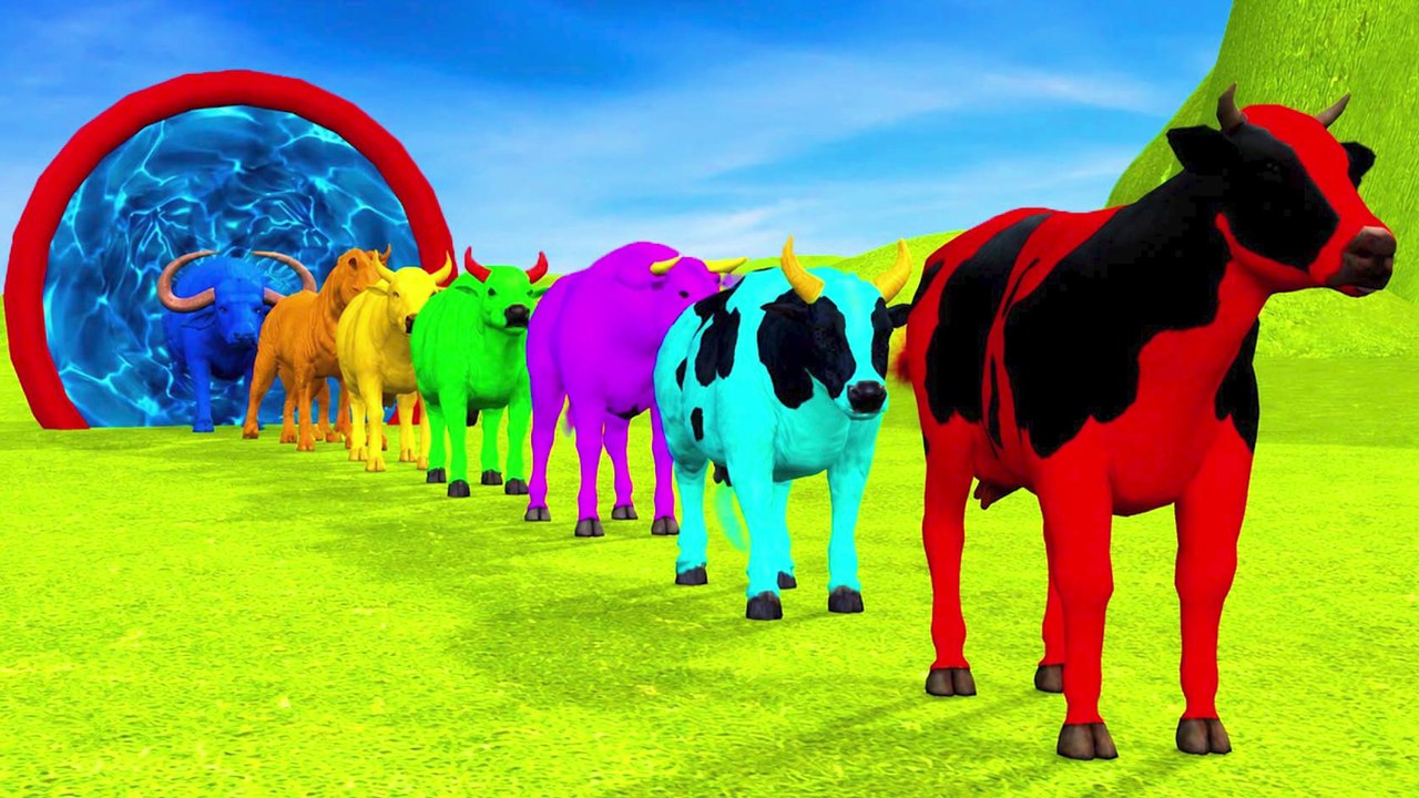 Color Animals Cow Ox Bull Buffalo Cartoon  Farm Animals Fountain Crossing Animal Cartoon thumnail