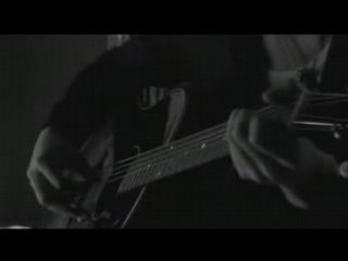 Plastic Tree - Spica