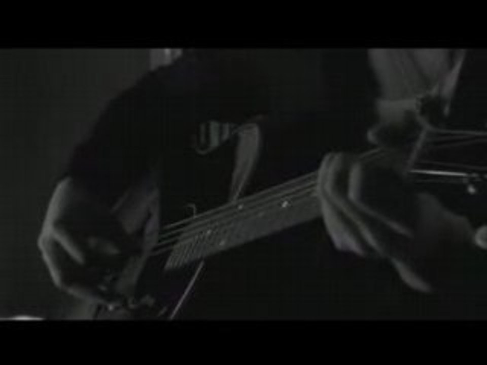 Plastic Tree - Spica